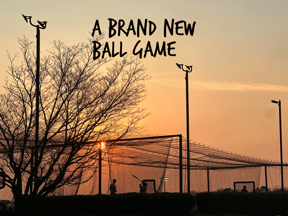 A Brand New Ballgame Gary Lloyd Books